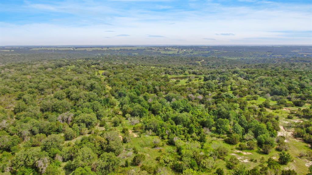 Dillard Reuben - Farm