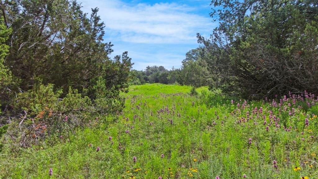 Dillard Reuben - Farm