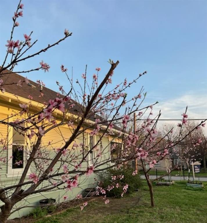 Bellevue Hill Add - Residential