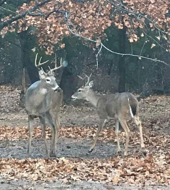 Nocona Hills Un 05 - Land