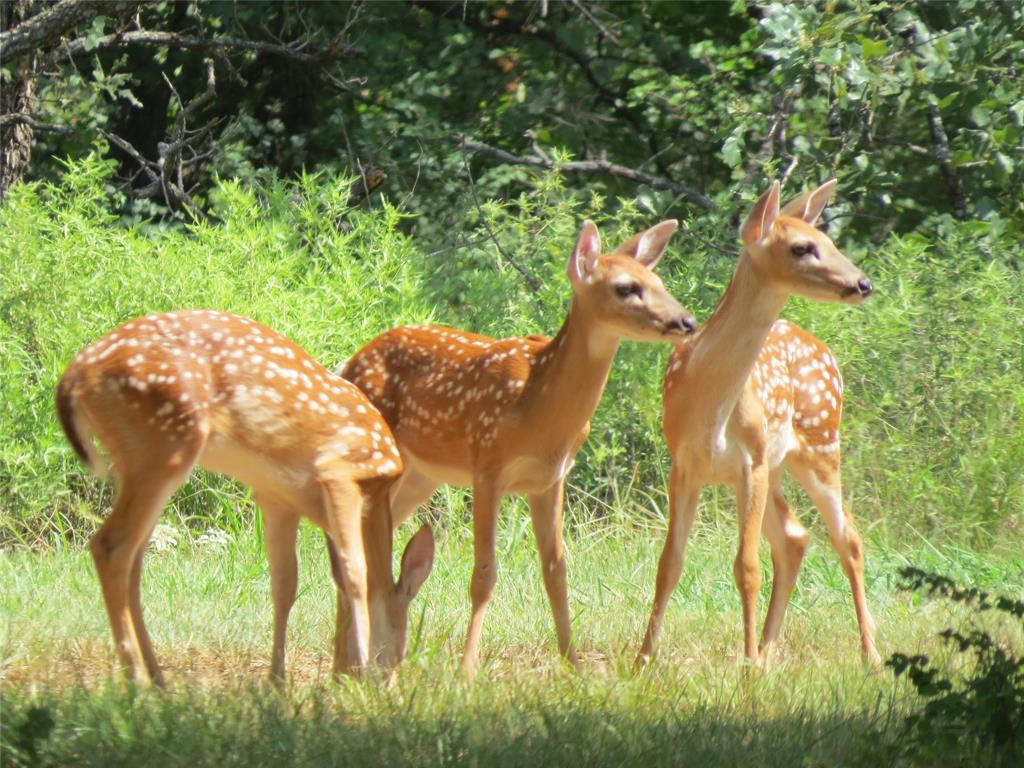 Nocona Hills Un 05 - Land