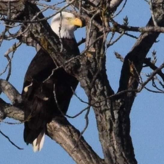 Nocona Hills Un 05 - Land