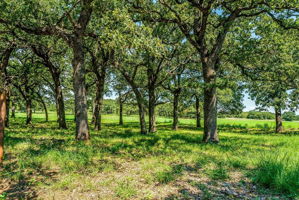 Benjamin Jones Surv Abs #456 - Farm