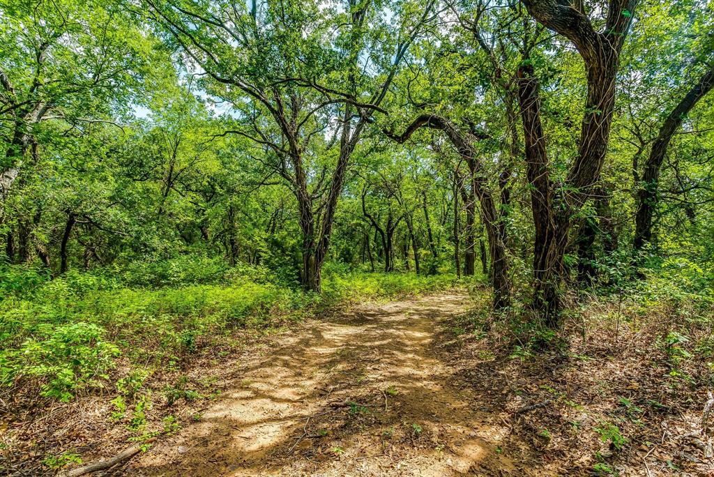 Benjamin Jones Surv Abs #456 - Farm