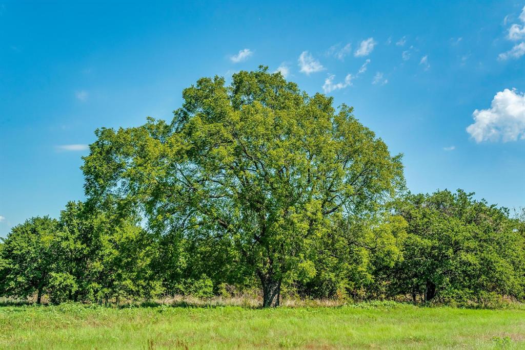 Benjamin Jones Surv Abs #456 - Farm