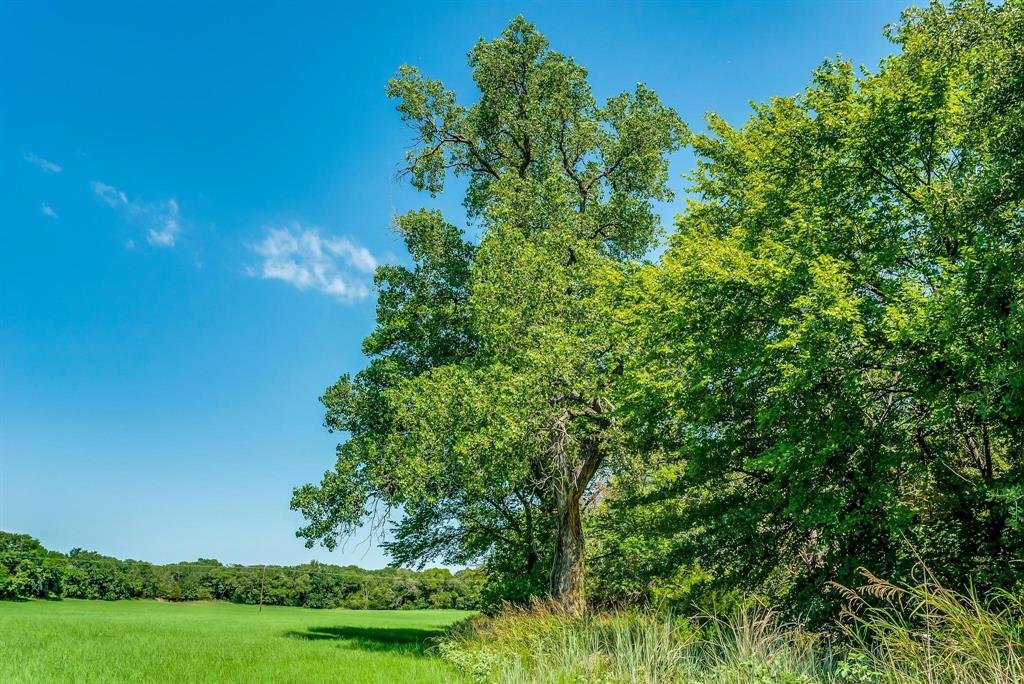 Benjamin Jones Surv Abs #456 - Farm