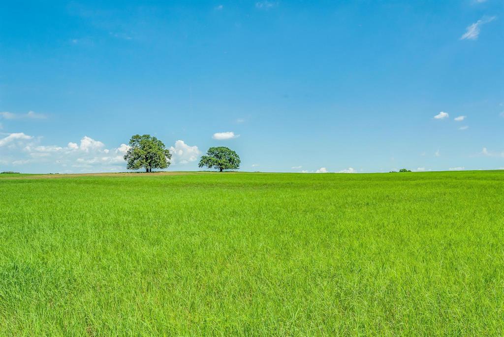 Benjamin Jones Surv Abs #456 - Farm