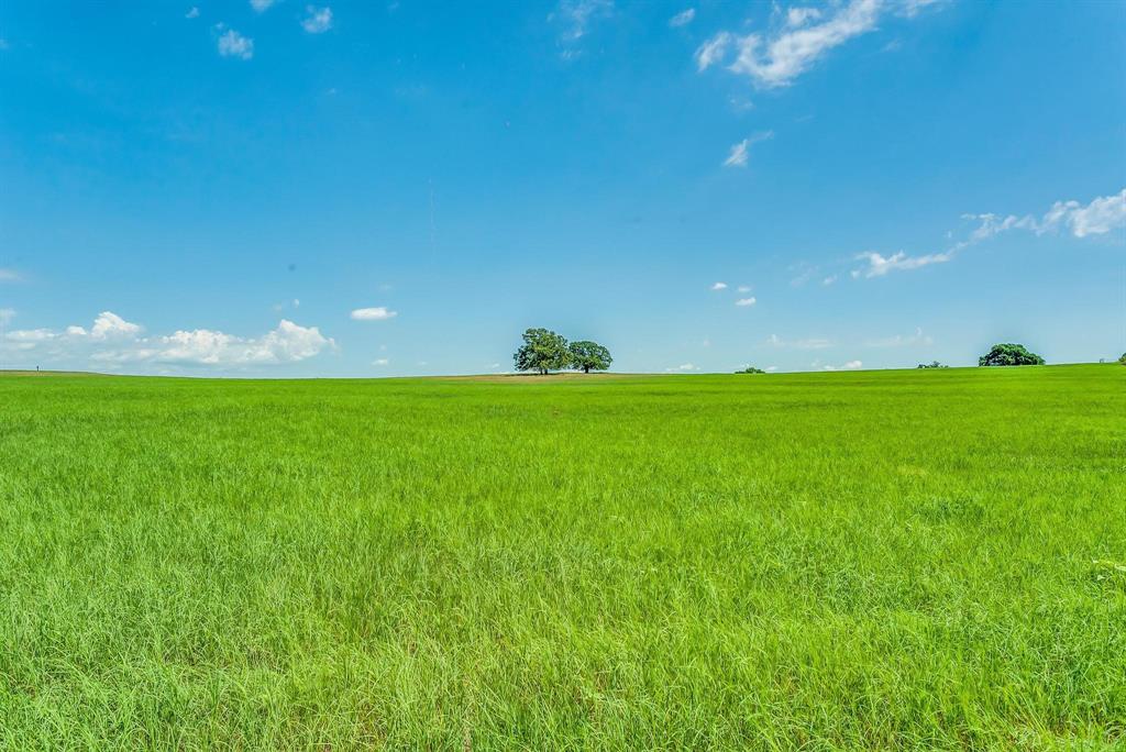 Benjamin Jones Surv Abs #456 - Farm