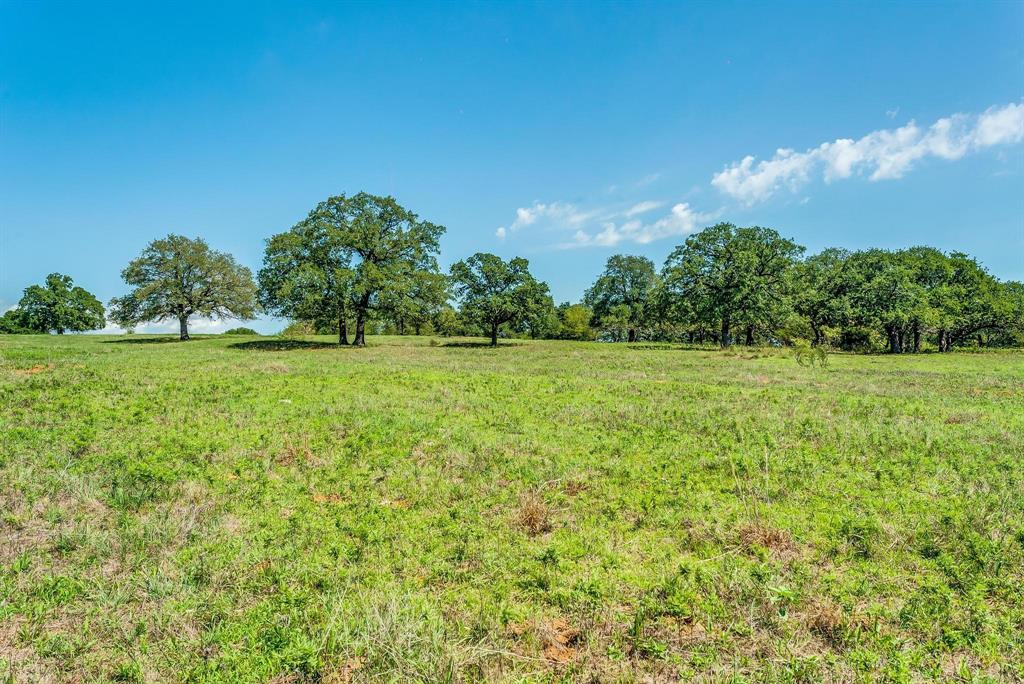 Benjamin Jones Surv Abs #456 - Farm