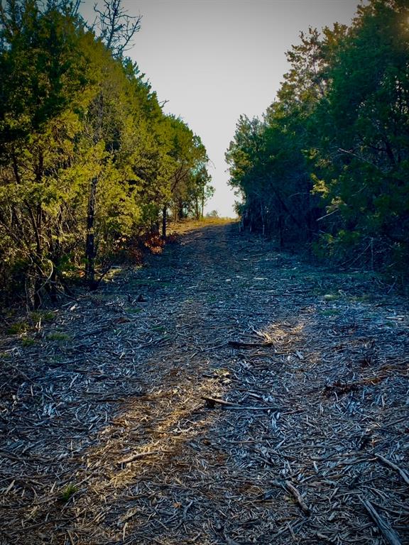 ACRES: 20.000 ABST: J D JAMESON - ABST 294 - Farm