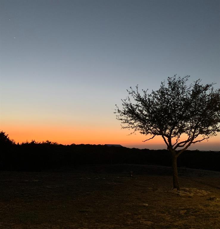 ACRES: 20.000 ABST: J D JAMESON - ABST 294 - Farm