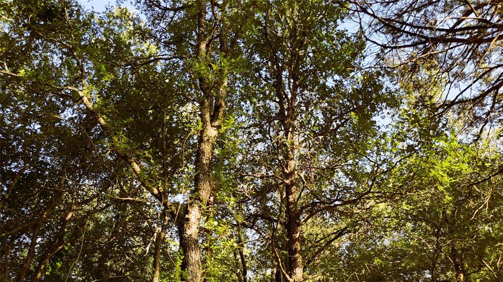RANCHES AT DEER CROSSING - Land