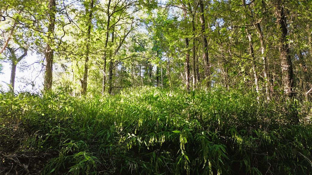 RANCHES AT DEER CROSSING - Land