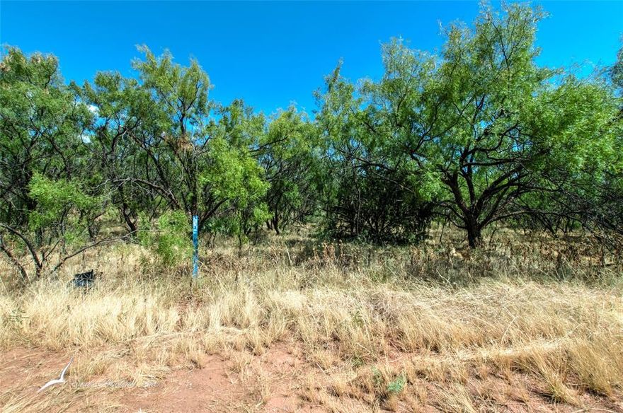 Picture your dream home coming to life on this fantastic 5.6-acre piece of land, just a stone's throw away from Abilene. Tucked into the sought-after Wylie school district, this spacious property is all set for you to design your perfect custom abode. The open expanse gives you the freedom to let your creativity run wild. You'll get the best of both worlds – the serene countryside vibes and the convenience of Abilene's offerings. Plus, those top-notch Wylie schools are right there for the kids. Your dream home adventure begins here on this amazing canvas!