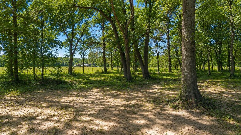 Photo of 11950 Trinity Hills Road, Kemp, TX 75143 (MLS # 21369352)