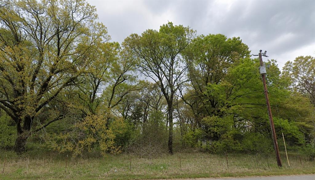 Photo of 11950 Trinity Hills Road, Kemp, TX 75143 (MLS # 21369352)