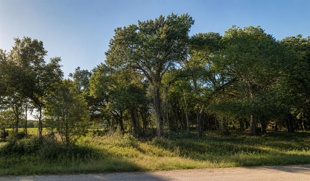 Photo of 11950 Trinity Hills Road, Kemp, TX 75143 (MLS # 21369352)
