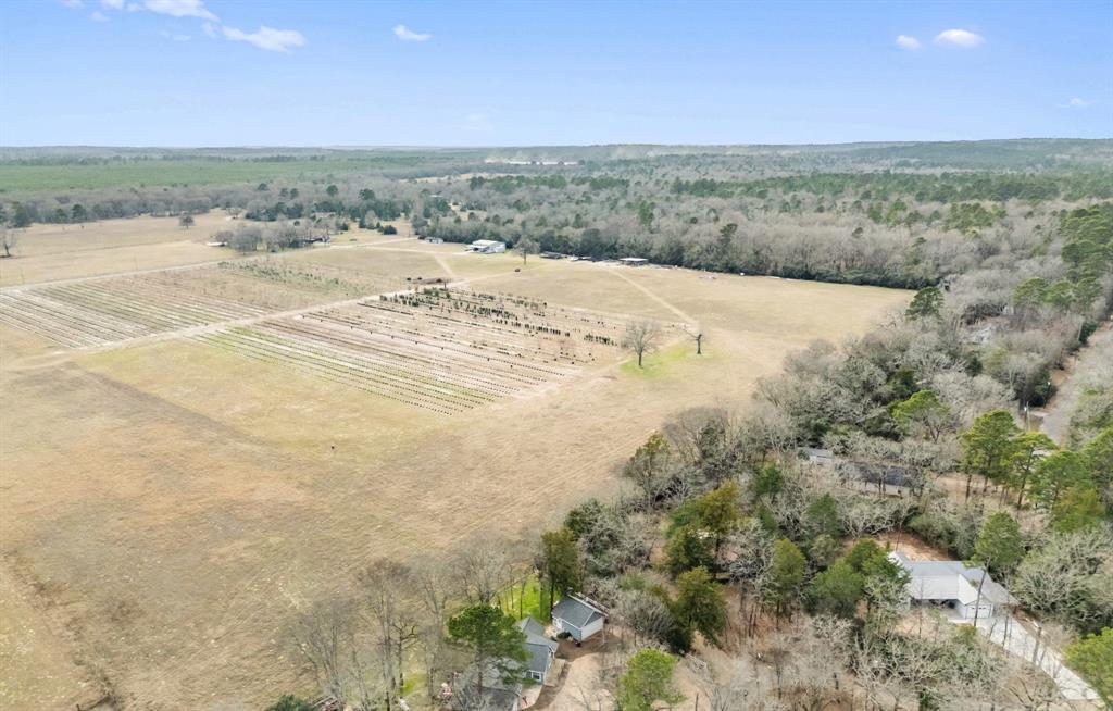 Holly Lake Ranch - Residential