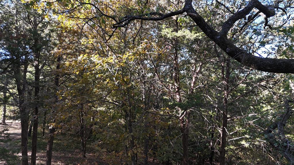 TBD 881-3 Tanglewood Trail