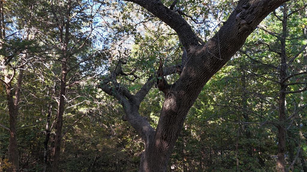 Tanglewood Hills Ctry Cl 10-15 - Land