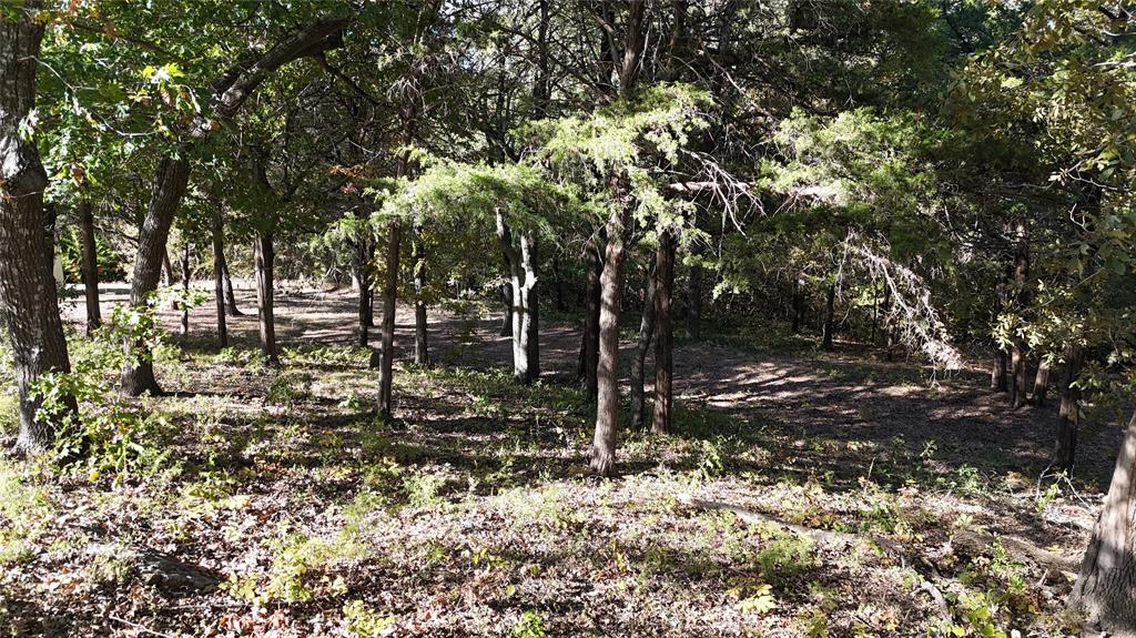 Tanglewood Hills Ctry Cl 10-15 - Land