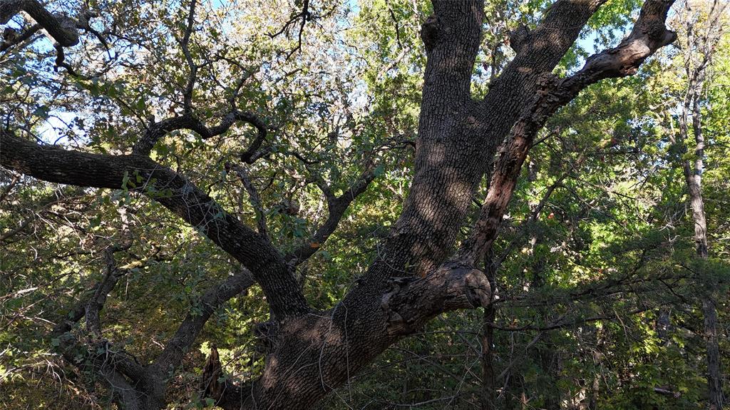 Tanglewood Hills Ctry Cl 10-15 - Land