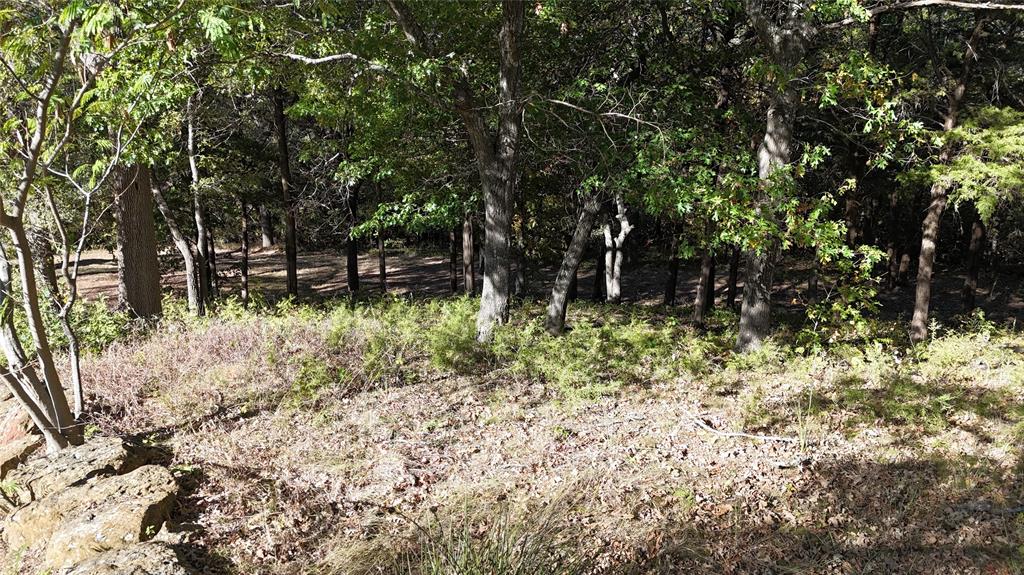 Tanglewood Hills Ctry Cl 10-15 - Land