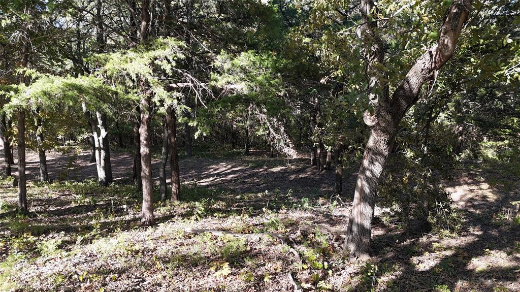 Tanglewood Hills Ctry Cl 10-15 - Land