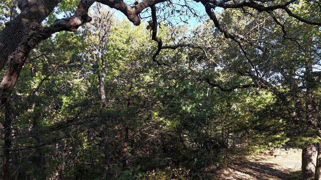 Tanglewood Hills Ctry Cl 10-15 - Land