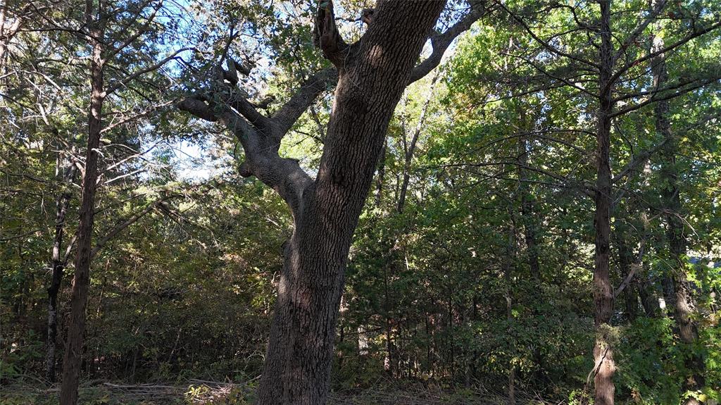 Tanglewood Hills Ctry Cl 10-15 - Land