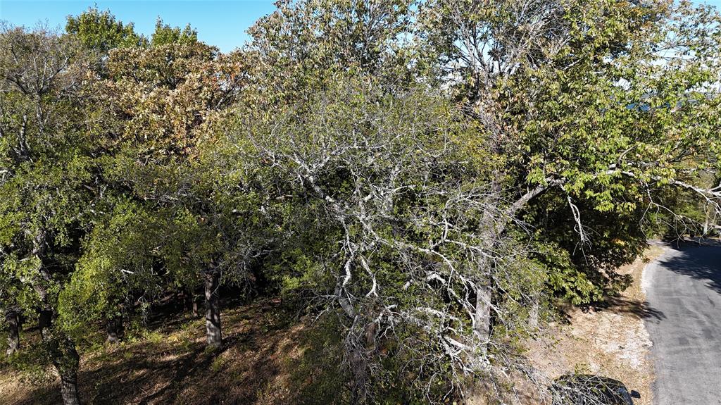 Tanglewood Hills Ctry Cl 10-15 - Land