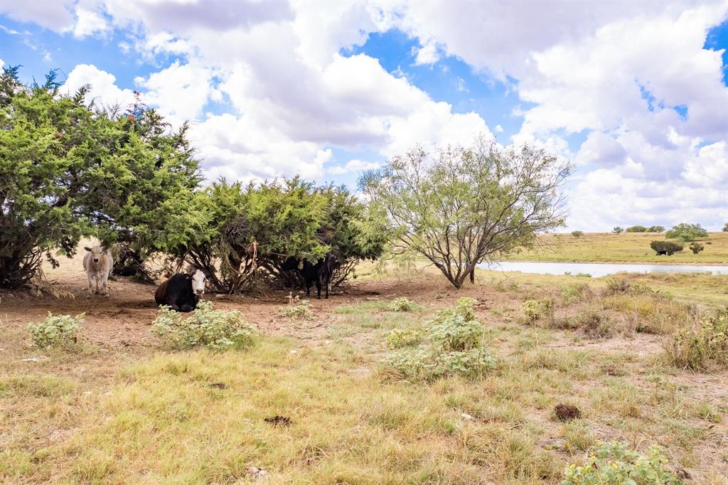 ABST 435 TR 117 JACKSON CO SCH LAND - Land