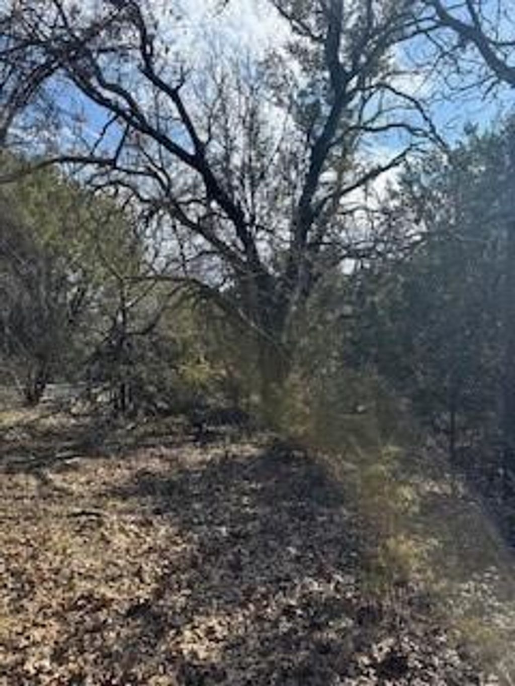 Photo of 21039 Shady Oak Court, Whitney, TX 76692 (MLS # 21174269)