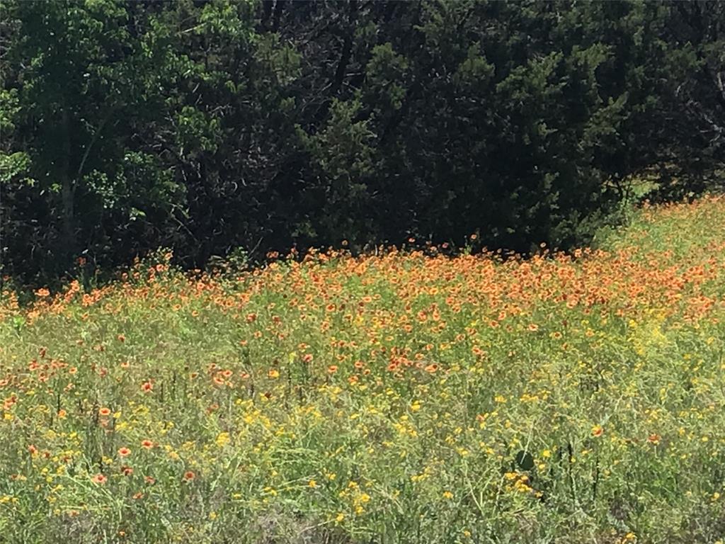 White Bluff #21 - Land