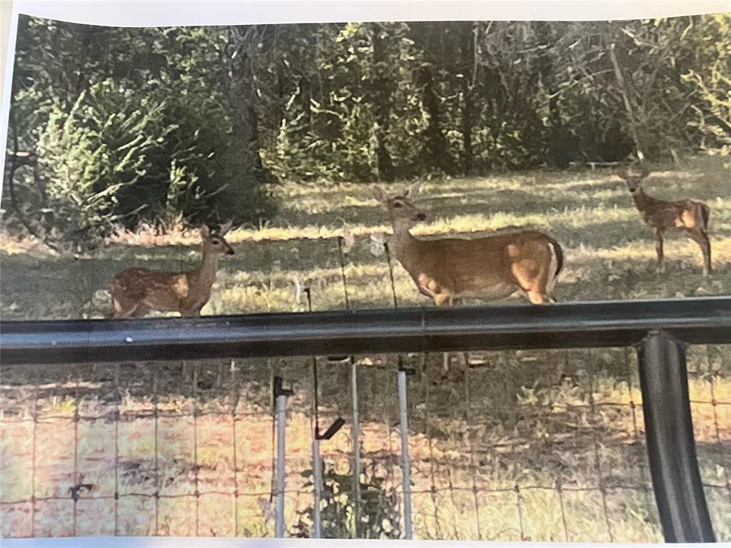 776 Orchid Hill Lane