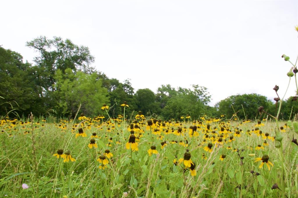 Newton James R Survey - Land