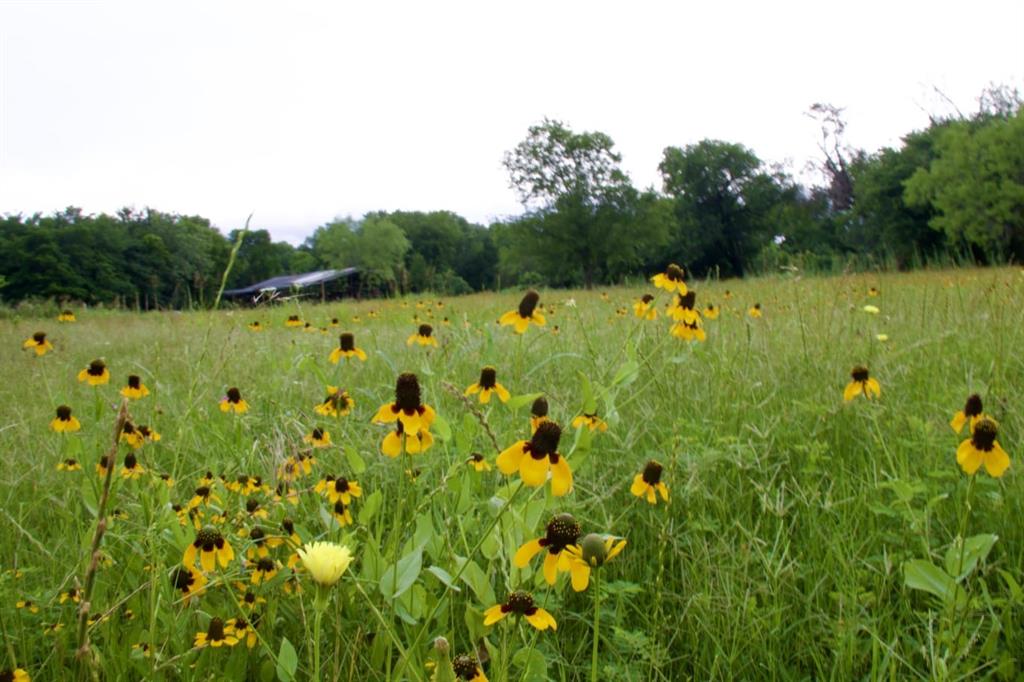 Newton James R Survey - Land