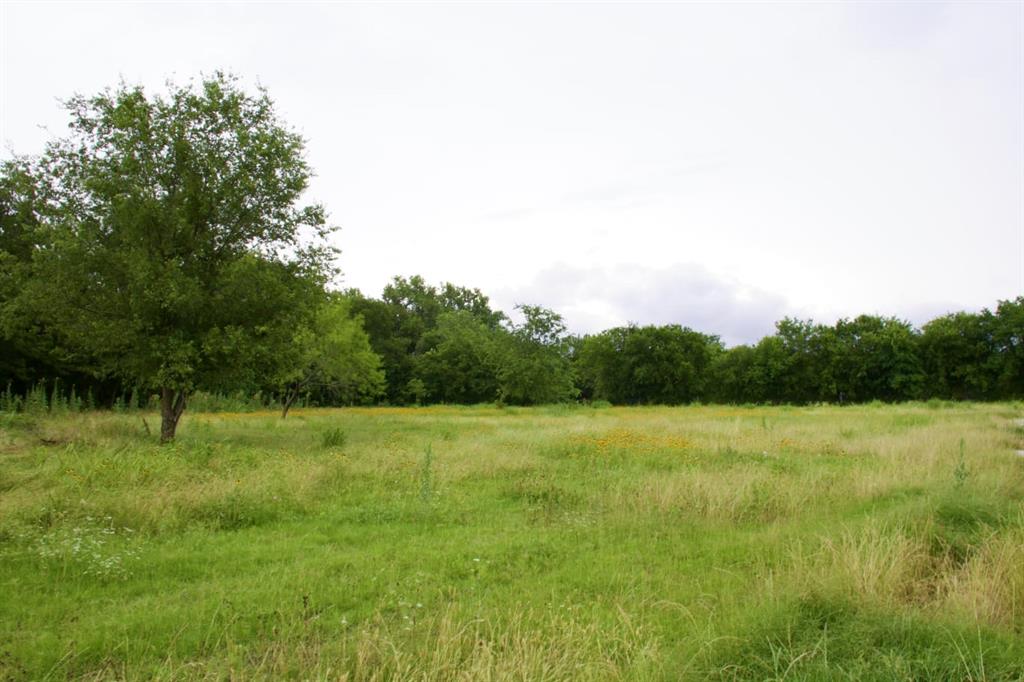 Newton James R Survey - Land