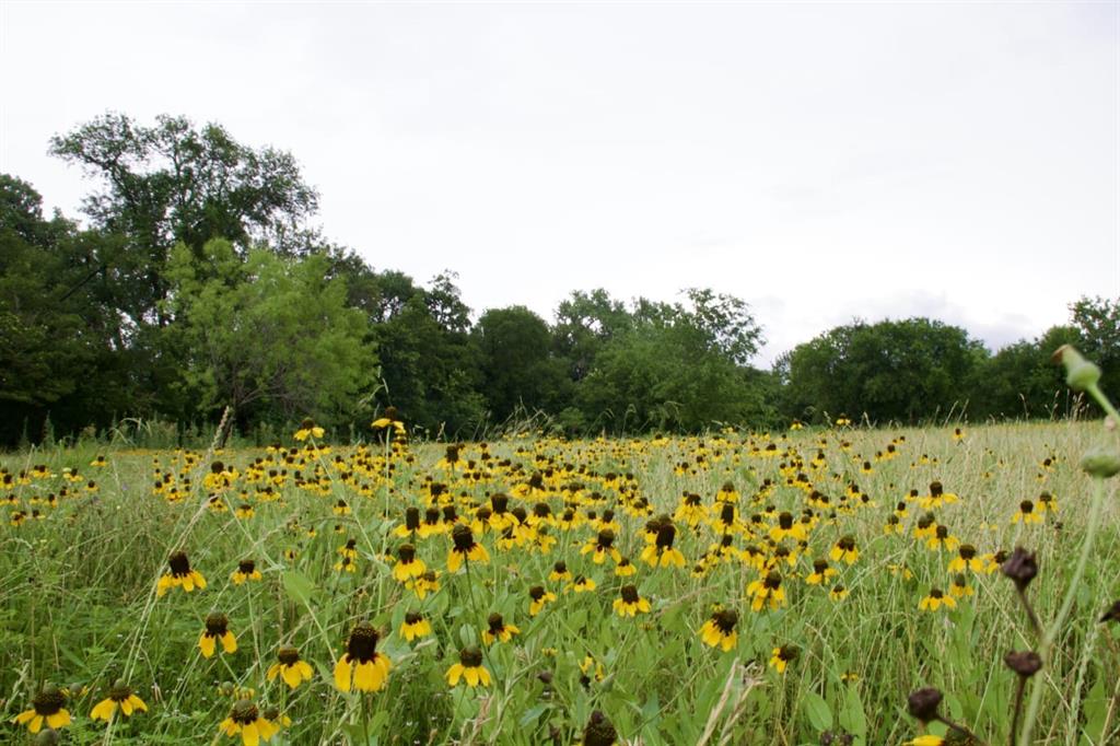 Newton James R Survey - Land