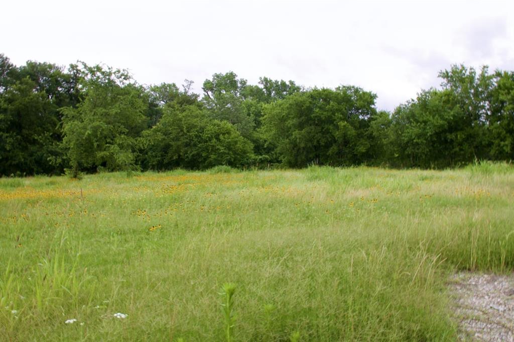 Newton James R Survey - Land