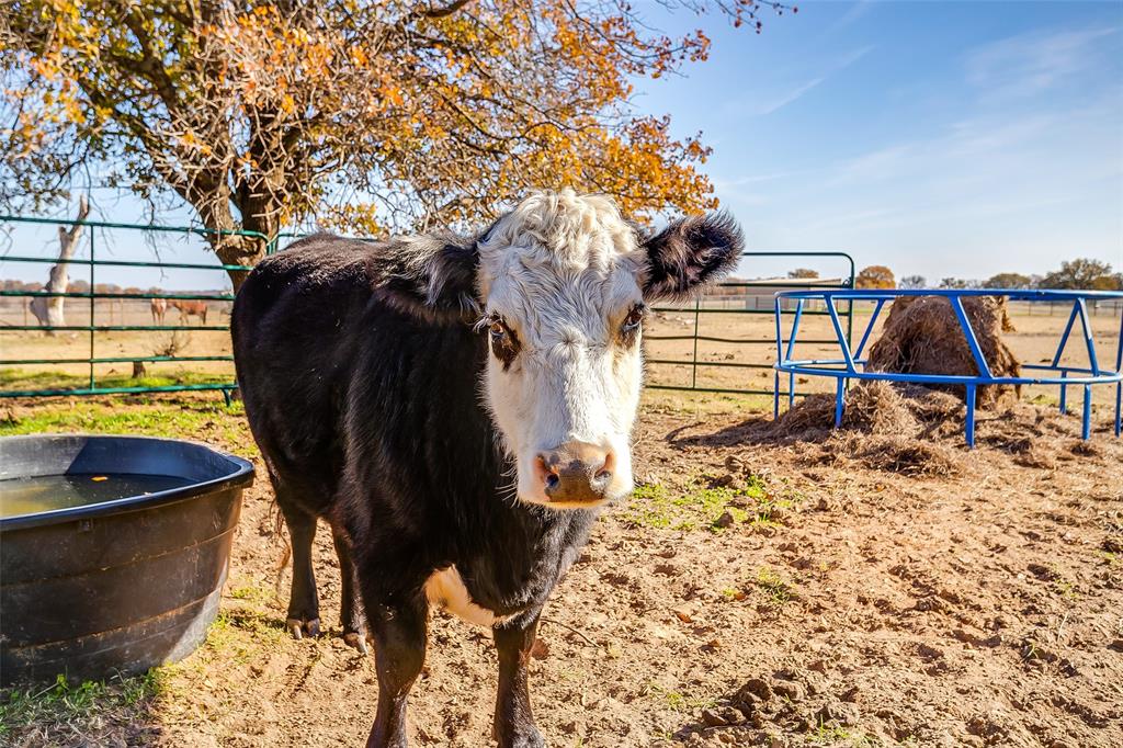 1210 Poe Prairie Road