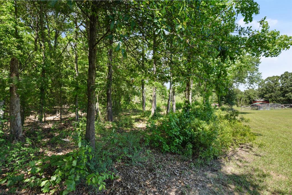 Spring Creek - Residential