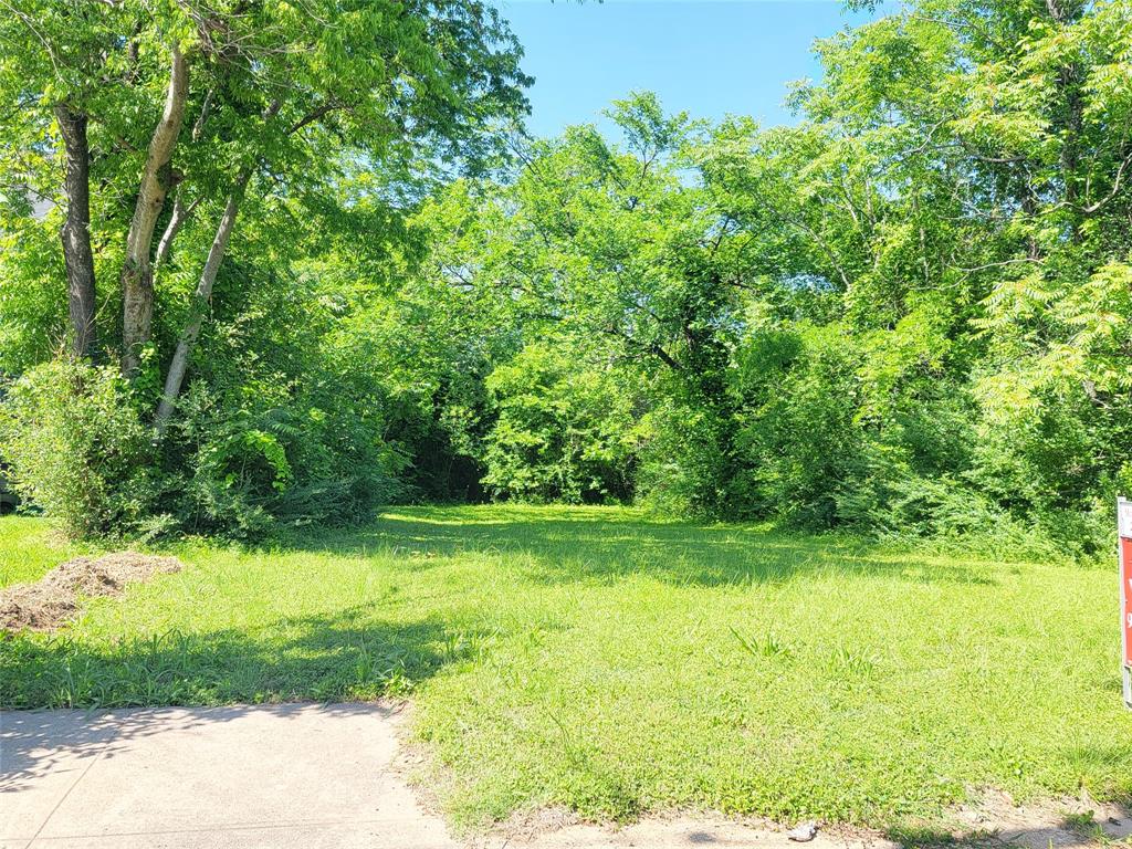 Oak Cliff Original - Land