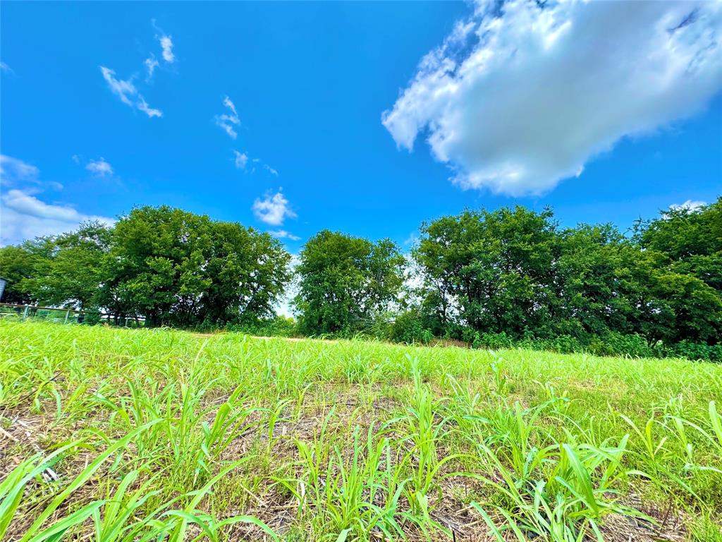 Rolling Ridge - Land