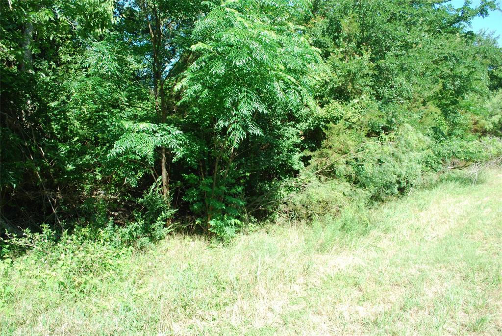 1685 Creekside Court
