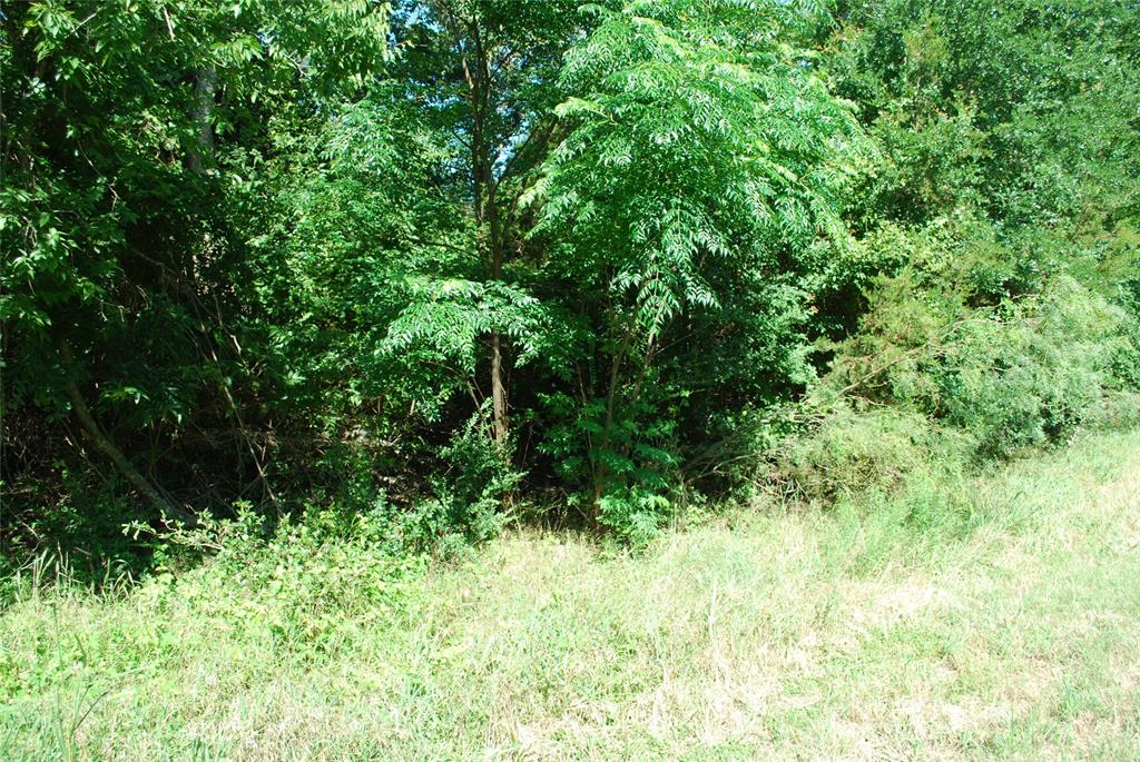 1685 Creekside Court
