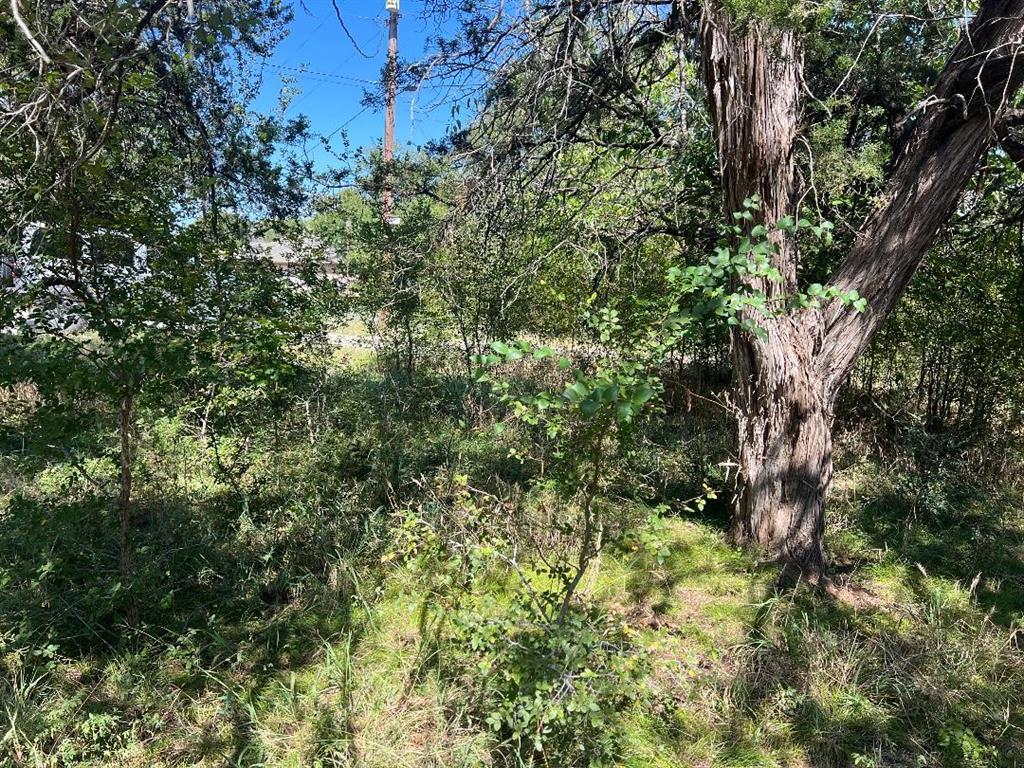 TBD County Road 1701