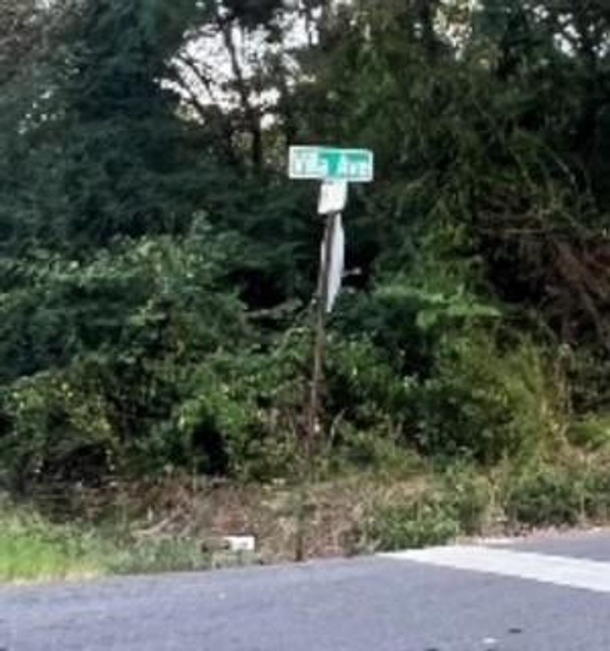 Close to Cross Lake, two adjacent lots on corner of Dellwood & Villa Avenue.