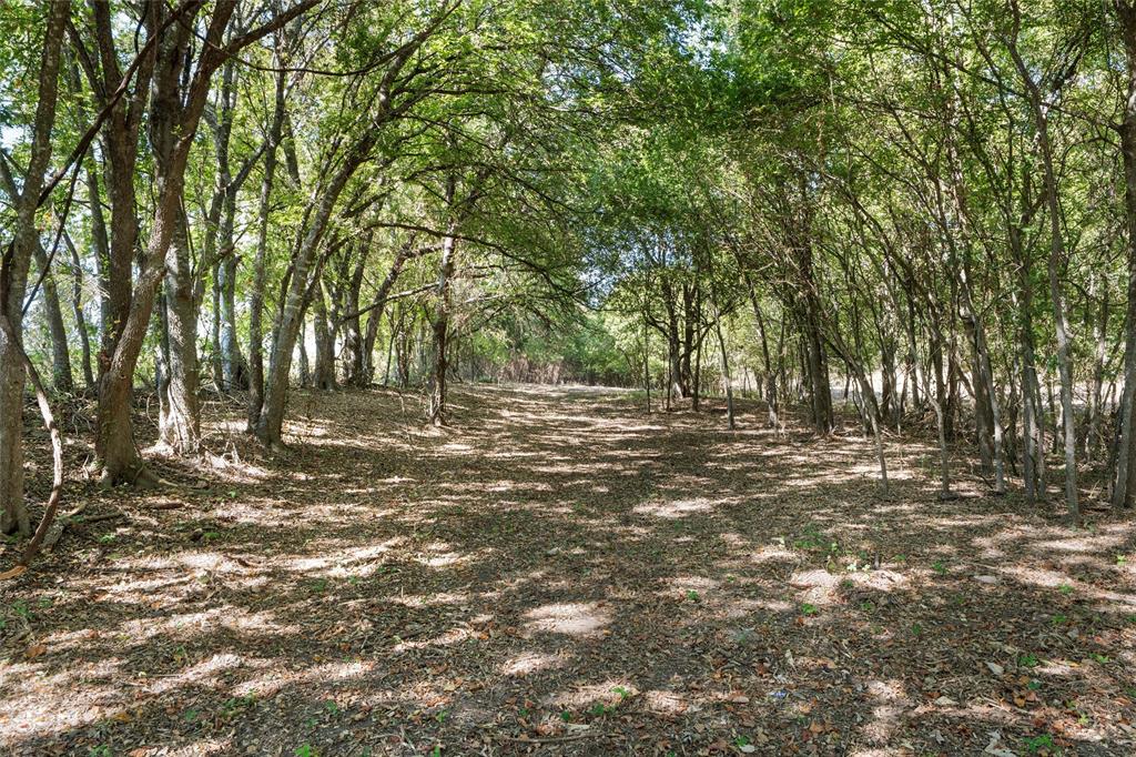 477 Wolf Creek Road