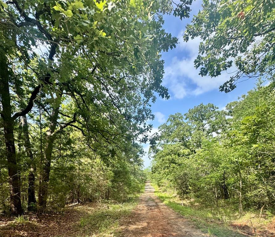 lot 2111 Butch Cassidy Drive